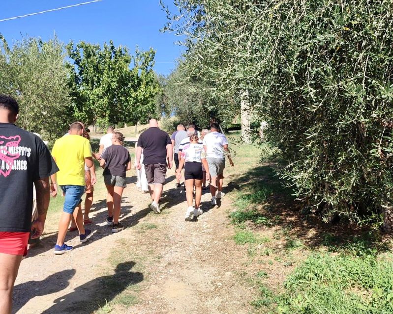 Seggiano: Typical Tuscan Farm Tour with Olive Oil Tasting - Panoramic Views of Seggiano from the Farm