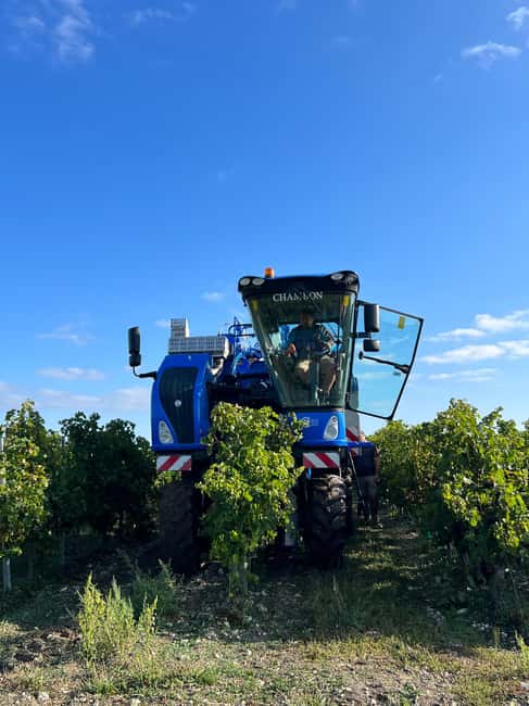 Segonzac: visit a family-run estate: G and C Raby - Who Would Enjoy This Tour Most?