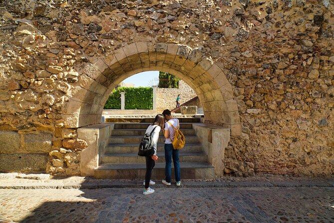 Segovia and Avila Guided Tour and Flamenco Show in Madrid - Exploring Segovia’s Roman and Gothic Landmarks