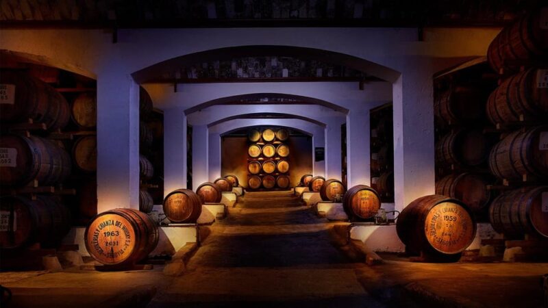 Segovia: Guided tour of the DYC Distillery with whiskey tasting - What Makes This Tour Stand Out