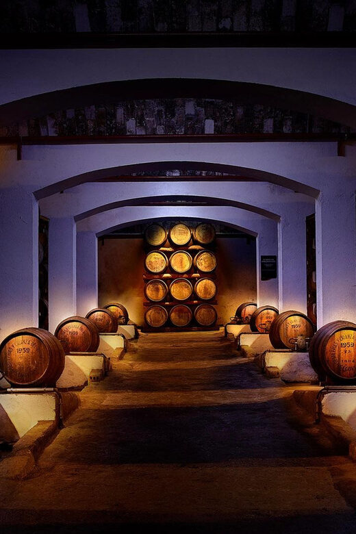 Segovia: Guided tour of the DYC Distillery with whiskey tasting - Limitations and Considerations