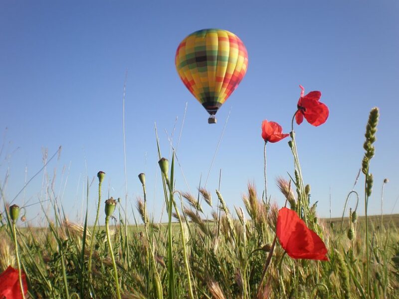 Segovia: Hot-Air Balloon Flight with Optional 3-Course Lunch - Discover the Unique View of Segovia from the Sky