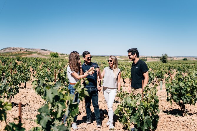 Segovia & Ribera del Duero Winery with Wine Tasting from Madrid - Discover a Full-Day Adventure Combining Wine and Heritage Near Madrid