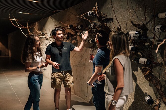 Segovia & Ribera del Duero Winery with Wine Tasting from Madrid - Key Points