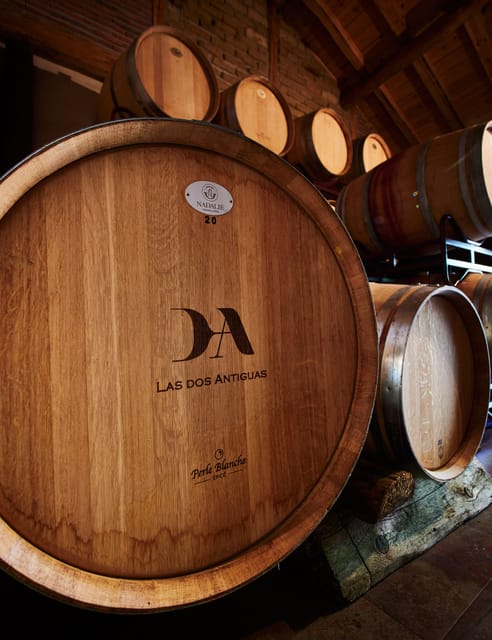 Segovia: Winery Tour with Wine Tasting - Tasting Three Limited-Edition Wines with an Appetizer