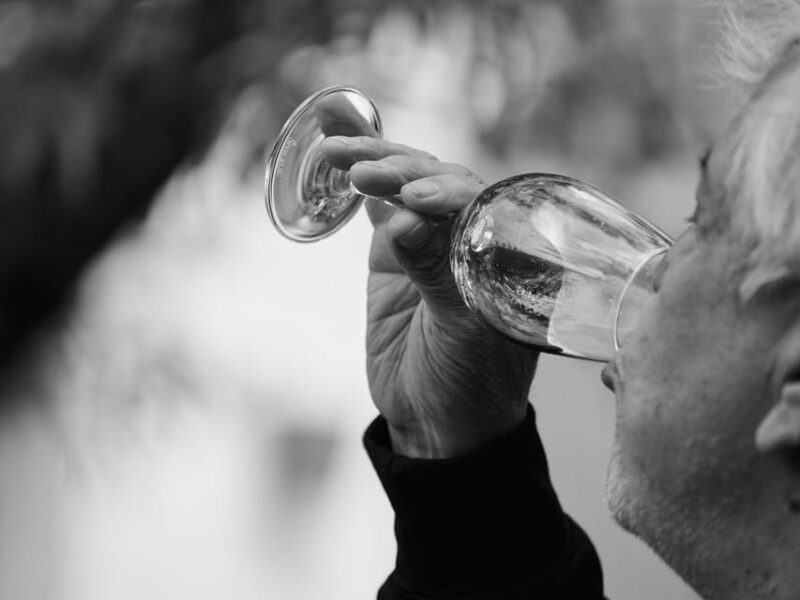 Segovia: Winery Tour with Wine Tasting - Practical Details and Logistics