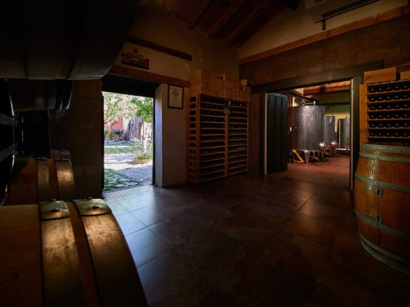 Segovia: Winery Tour with Wine Tasting - Insights from Reviews and Guest Feedback