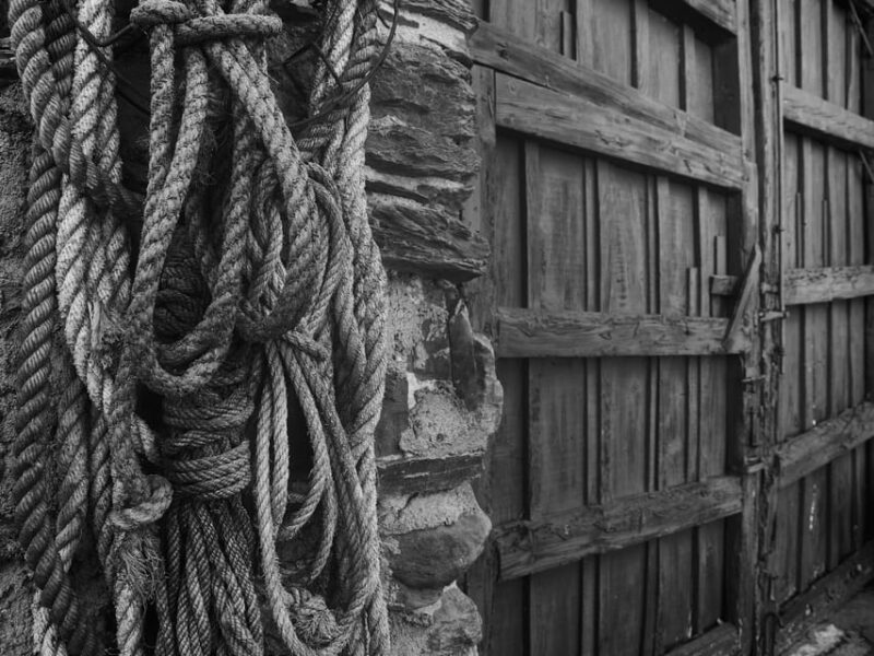 Segovia: Winery Tour with Wine Tasting - Who Should Consider This Winery Tour?