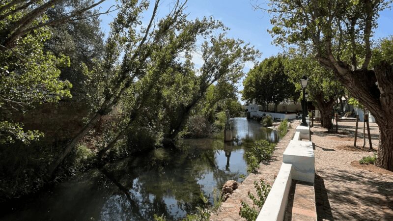 Segredos do Algarve: Tour Guiado (Full Day) - The View from Alto do Malhão
