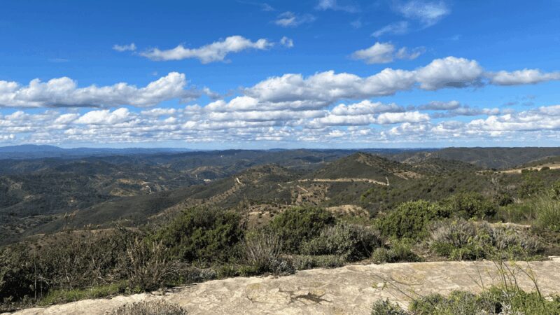 Segredos do Algarve: Tour Guiado (Full Day) - Return to Faro and Final Impressions