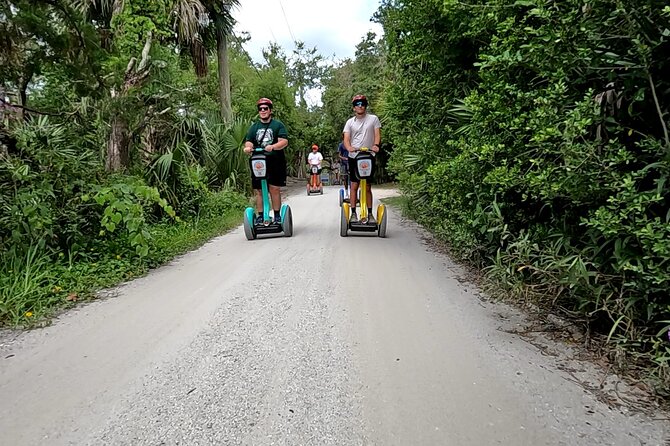 Segs and the City Ponce Inlet Segway Tour - Wildlife Sightings on the Natural Barrier Island