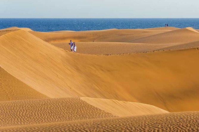 Segway Experience 1 hour Sightseeing Tour : Visit Maspalomas Dunes, Playa Ingles - Who Should Consider This Tour?