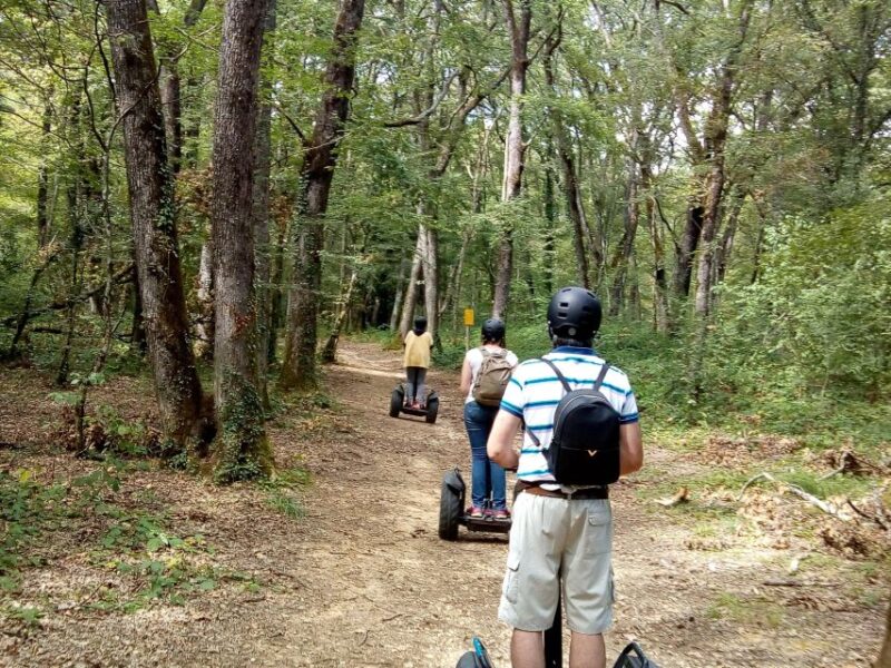 Segway hike 2h00 Aix les Bains between lake and forest - Environmental Respect and Safety Measures