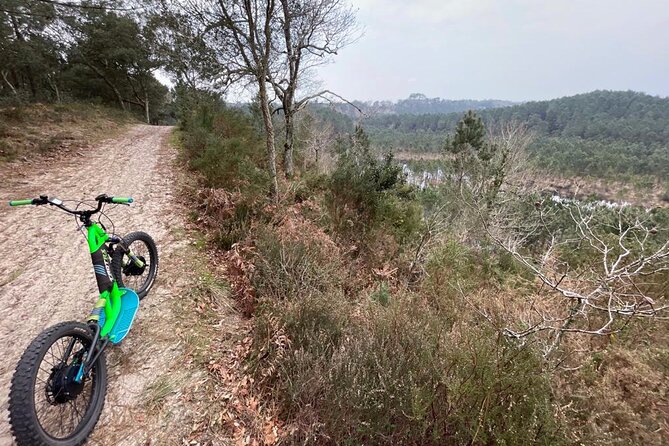 Seignosse electric scooter excursion - Expert Guides and Local Knowledge