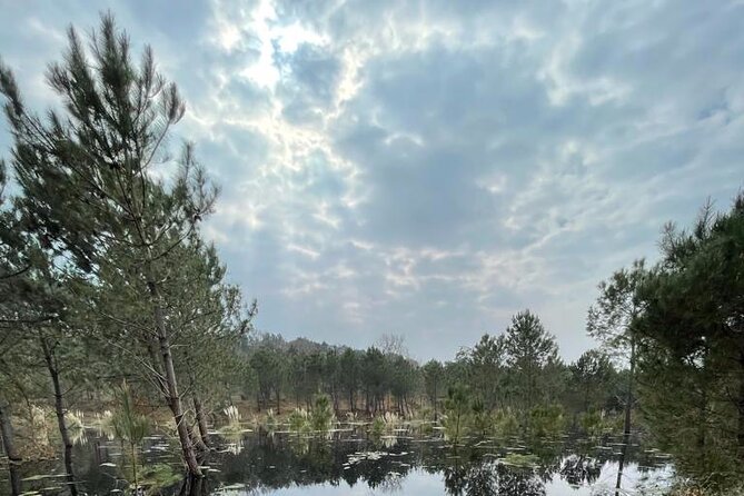 Seignosse electric scooter excursion - Highlights of the Landes Forest Ecosystem