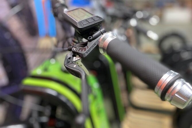 Seignosse electric scooter excursion - Small Group Experience with Personalized Attention