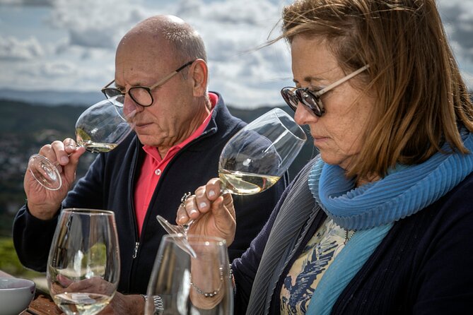 Selection Tasting | Quinta de Santa Cristina Vinho Verde - Discover the Authentic Vinho Verde at Quinta de Santa Cristina in Braga