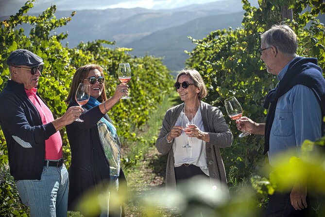 Selection Tasting | Quinta de Santa Cristina Vinho Verde - Exploring the Vineyard and Winemaking Process