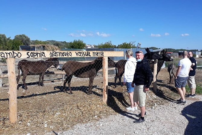 Self drive 4x4 Jeep Safari - Pick ups in the North - Practical Details and Group Size