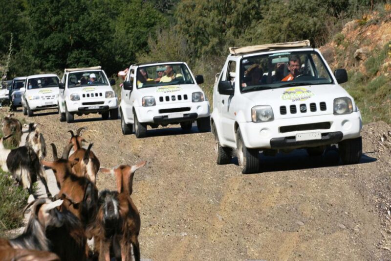 Self-Drive Jeep Safari to South Coast, Palm Beach & Canyons - Scenic Stops for Photos and Local Insights