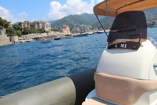 Self-Drive (No Licence) Boat Rental in Portofino Gulf - The Boat Fleet and Amenities