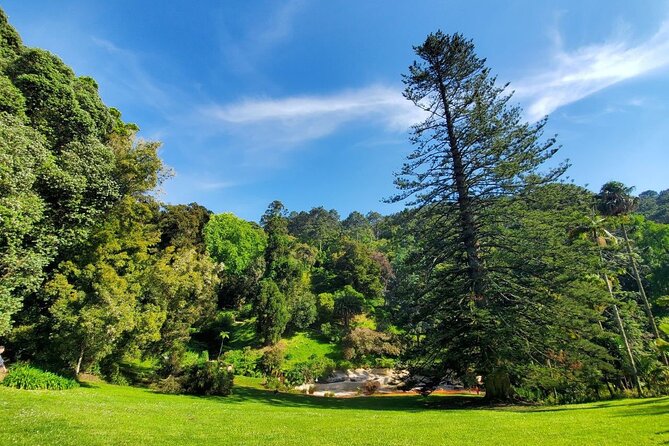 Self-Drive Tour in Sintra - Quinta da Regaleira & Azenhas do Mar - Who Will Benefit Most From This Tour