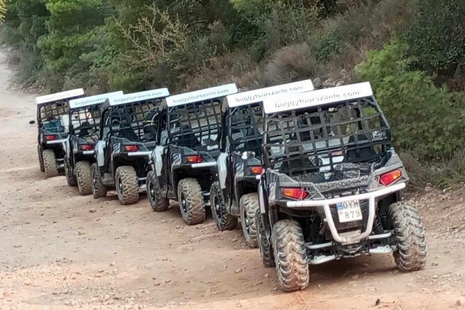 Self-Driving Off-Road Buggy Tour with Experienced Guide - Discovering the Historic Andronios Wells and Vineyard Landscapes