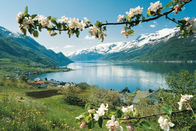 Self-Guided 22-Hour Round Trip From Oslo To Sognefjord With Flåm Railway - Visiting Gudvangen and Nærøydalens Scenic Bus Ride
