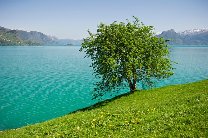 Self-Guided 22-Hour Round Trip From Oslo To Sognefjord With Flåm Railway - Exploring Voss, Bergen, and Oslo Options