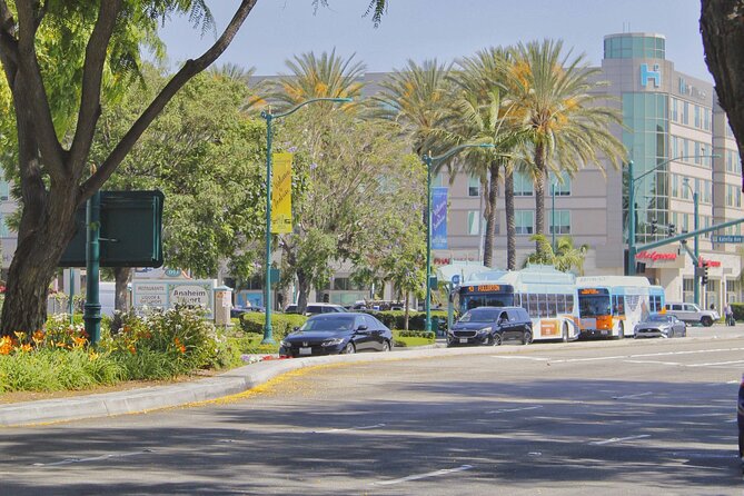 Self-Guided Anaheim Scavenger Hunt: Anaheim Grapes To Glory - Comparing Similar Tours in Anaheim and Beyond