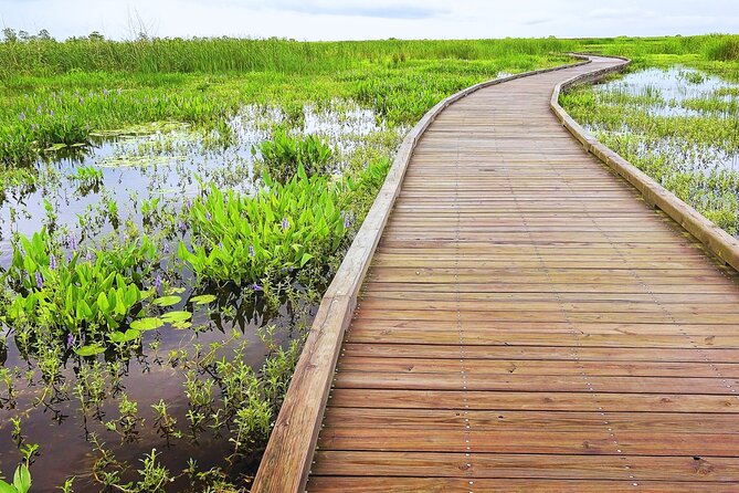 Self-Guided Audio Driving Tour in Creole Nature Trail - Cameron Prairie National Wildlife Refuge: Birdwatchers Paradise