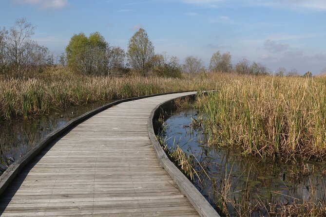 Self-Guided Audio Driving Tour in Creole Nature Trail - Practicalities: Group Size, Cost, and Support
