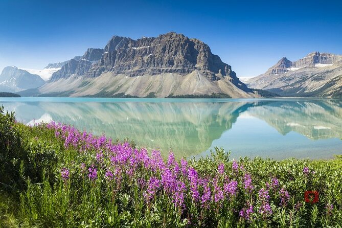 Self-Guided Audio Driving Tour in Icefields Parkway - Who Will Appreciate This Tour?