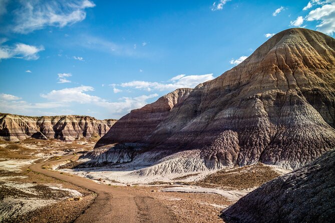 Self-Guided Audio Driving Tour in Petrified Forest National Park - Painted Desert Inn: A Historic Cultural Stop