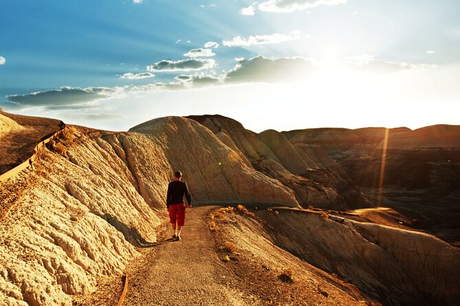 Self-Guided Audio Driving Tour in Petrified Forest National Park - Pintado Point: High-Altitude Views of Painted Desert