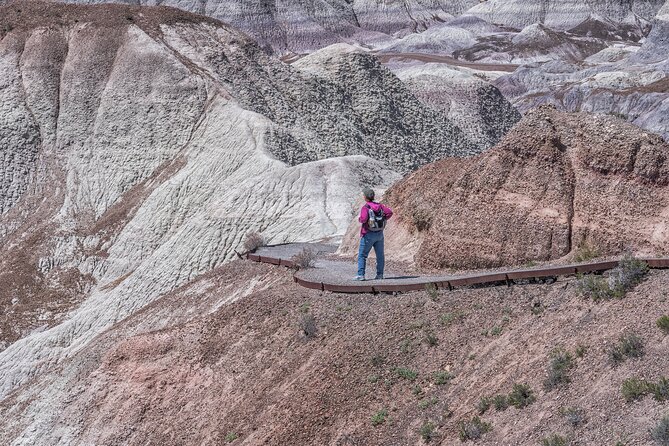 Self-Guided Audio Driving Tour in Petrified Forest National Park - Lacey Point: A Tranquil Vista