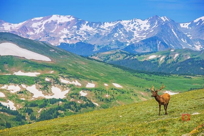 Self-Guided Audio Driving Tour in Rocky Mountain National Park - Riding Old Fall River Road Into the Alpine Wilderness
