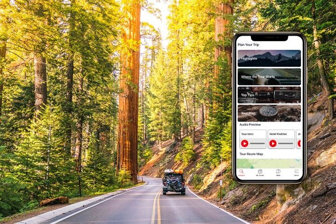 Self-Guided Audio Driving Tour in Sequoia and Kings Canyon - Explore Sequoia and Kings Canyon on a Self-Guided Audio Driving Tour