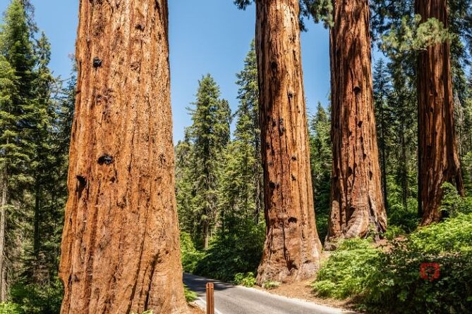 Self-Guided Audio Driving Tour in Sequoia and Kings Canyon - Key Points