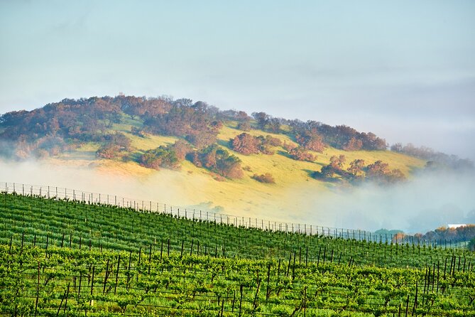 Self-Guided Audio Driving Tour of Sonoma and Napa Valley - Key Points