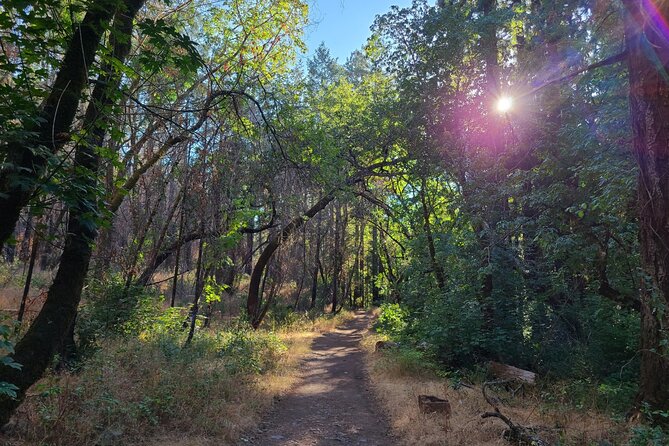 Self-Guided Audio Driving Tour of Sonoma and Napa Valley - Panoramic Views at Silverado Vineyards
