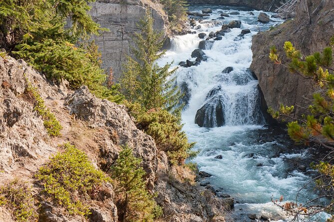Self-Guided Audio Walking Tour to Grand Prismatic Overlook - Limitations and Considerations