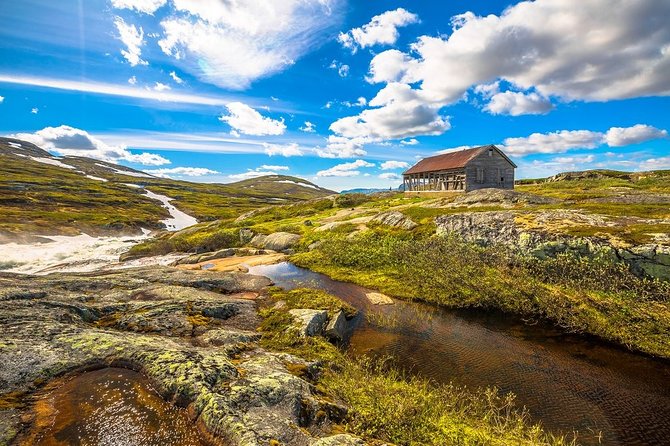 Self-Guided Bergen to Oslo Daytrip With Flamsbana & Fjordcruise - What’s Included and What to Keep in Mind