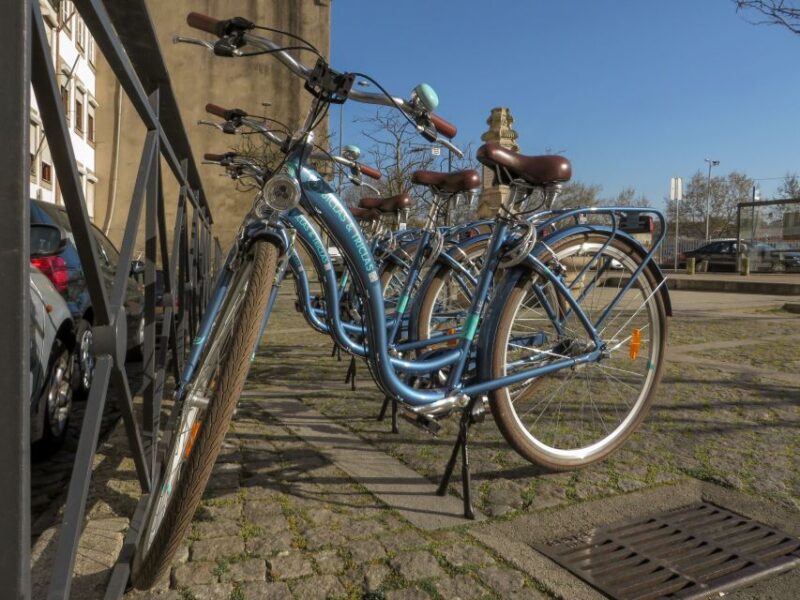 Self-Guided Bike to Surf"N"Food Pack - Catching Waves in the Atlantic with All Equipment Included