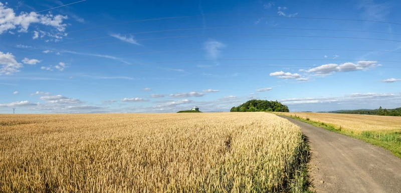 Self-Guided Bike Tour to Unetice Brewery - Riding Along Prague’s Iconic Parks: Letná and Stromovka