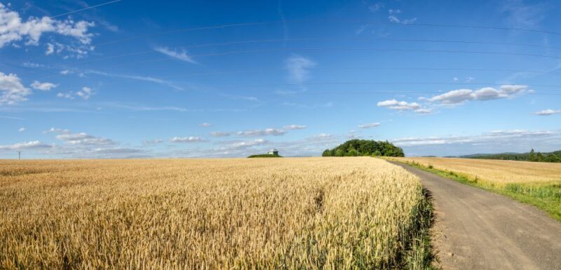 Self-Guided Bike Tour to Unetice Brewery - Optional Upgrades and Equipment