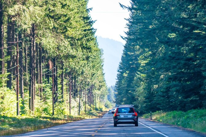 Self Guided Driving Audio Tour of Mount Rainier National Park - Capture the Perfect Photo at Christine Falls Bridge