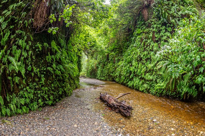 Self Guided Driving Audio Tour of Redwood National and State Park - Who Will Enjoy This Tour Most?