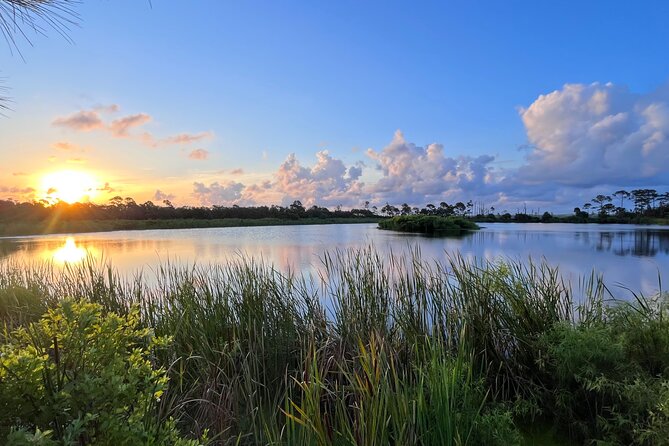 Self-Guided E-Bike or Cruiser Bike Tour of St. Andrews State Park - Discovering Panama City Beach’s Local Flavors and History