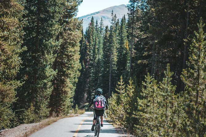 Self Guided Ebike Tour of Breckenridge Lake Loop - Paved Paths and Quiet Roads for a Comfortable Ride